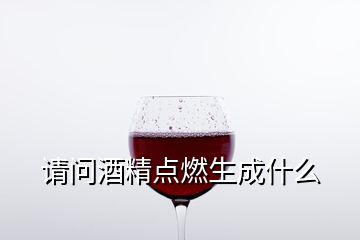 请问酒精点燃生成什么