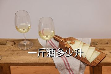 一斤酒多少升