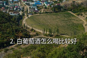 2. 白葡萄酒怎么喝比较好