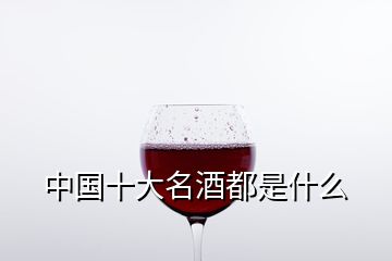 中国十大名酒都是什么