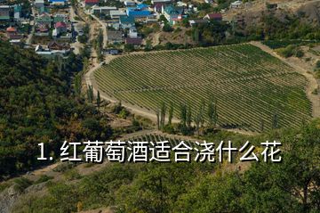 1. 红葡萄酒适合浇什么花