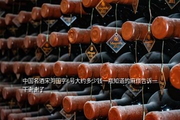 中国名酒宋河国字6号大约多少钱一瓶知道的麻烦告诉一下谢谢了