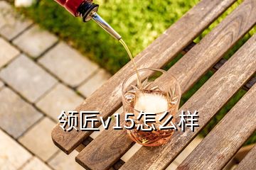 领匠v15怎么样