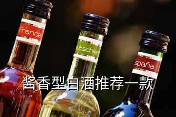 酱香型白酒推荐一款