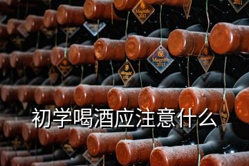 初学喝酒应注意什么