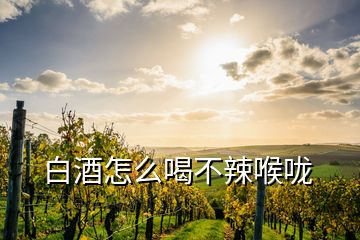 白酒怎么喝不辣喉咙