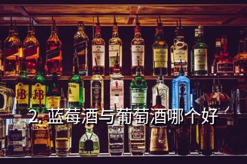 2. 蓝莓酒与葡萄酒哪个好