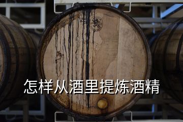 怎样从酒里提炼酒精