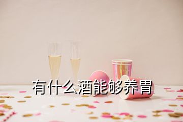 有什么酒能够养胃