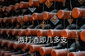 两打酒即几多支