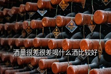 酒量很差很差喝什么酒比较好