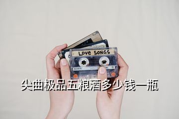 尖曲极品五粮酒多少钱一瓶