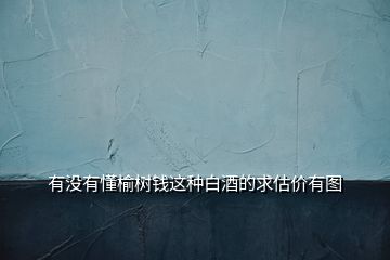 有没有懂榆树钱这种白酒的求估价有图