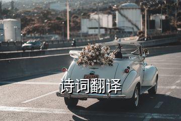 诗词翻译