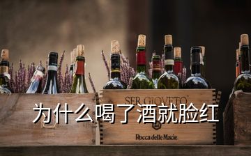 为什么喝了酒就脸红