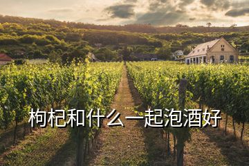 枸杞和什么一起泡酒好