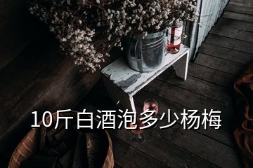 10斤白酒泡多少杨梅