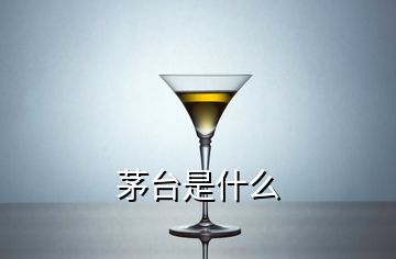 茅台是什么