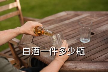 白酒一件多少瓶