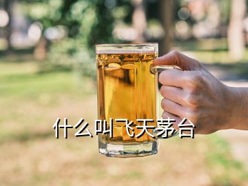 什么叫飞天茅台