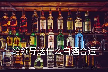 给领导送什么白酒合适