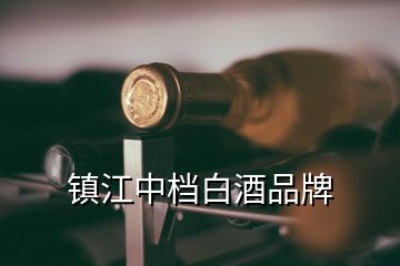 镇江中档白酒品牌