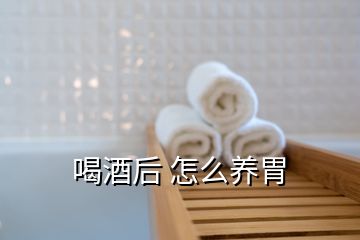 喝酒后 怎么养胃