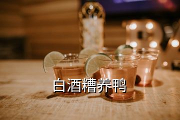 白酒糟养鸭