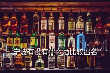 宁波有没有什么酒比较出名