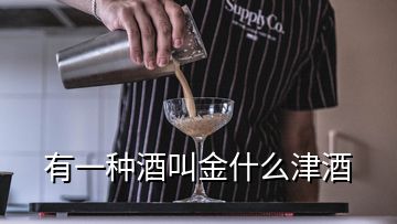 有一种酒叫金什么津酒