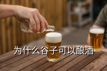 为什么谷子可以酿酒