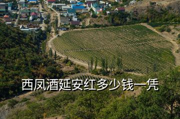 西凤酒延安红多少钱一凭