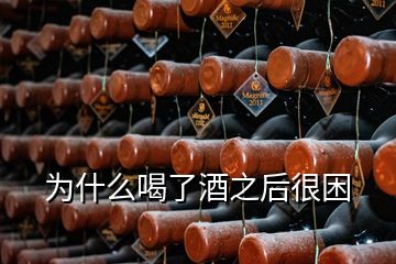 为什么喝了酒之后很困