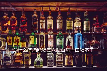 为什么啤酒能喝五六瓶白酒一口喝不了