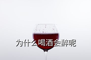 为什么喝酒会醉呢