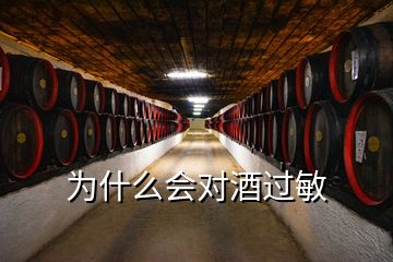 为什么会对酒过敏