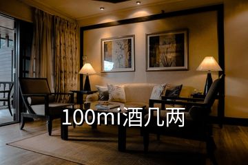 100mi酒几两