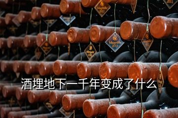 酒埋地下一千年变成了什么