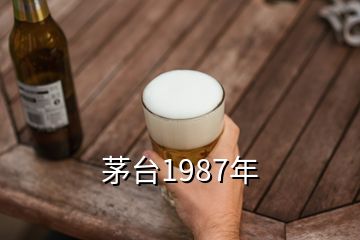 茅台1987年