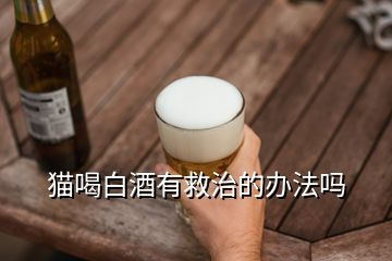 猫喝白酒有救治的办法吗