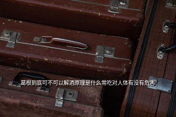 葛根到底可不可以解酒原理是什么常吃对人体有没有危害