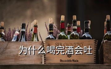 为什么喝完酒会吐