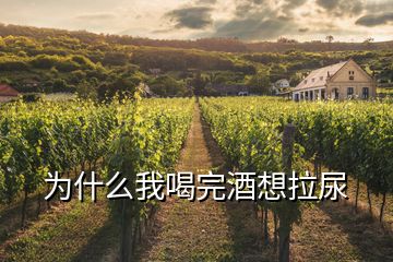 为什么我喝完酒想拉尿