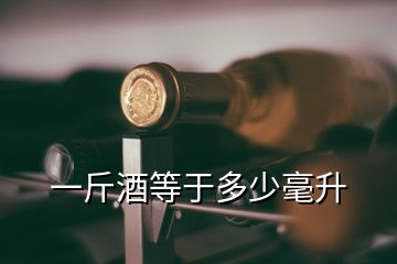 一斤酒等于多少毫升