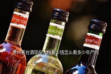 贵州茅台酒现在大约多少钱怎么看多少年产的