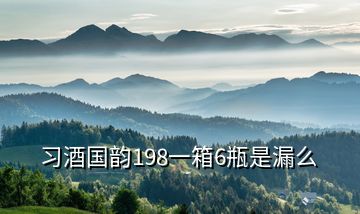 习酒国韵198一箱6瓶是漏么