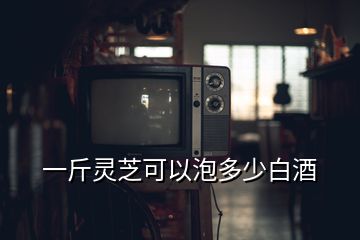 一斤灵芝可以泡多少白酒