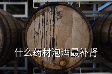 什么药材泡酒最补肾