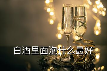 白酒里面泡什么最好