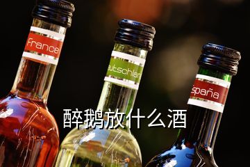 醉鹅放什么酒